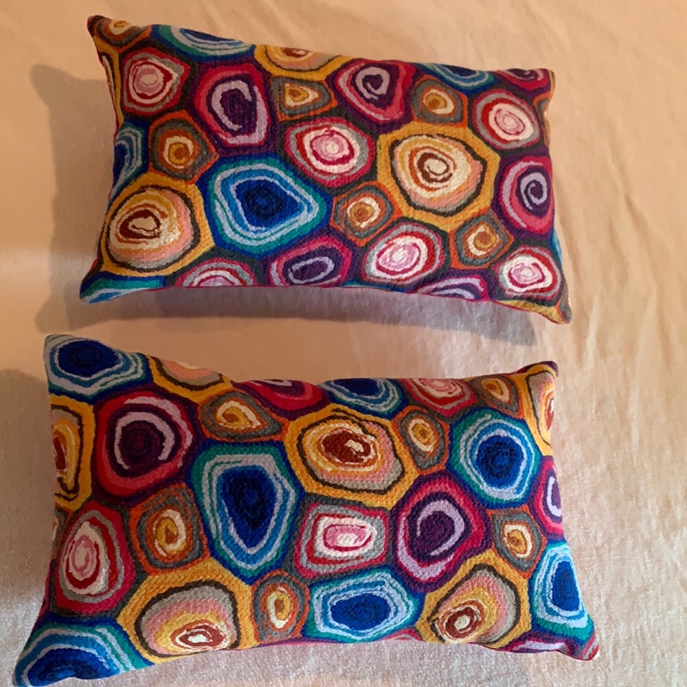 Indoor/ Outdoor Pillows - Set of 2